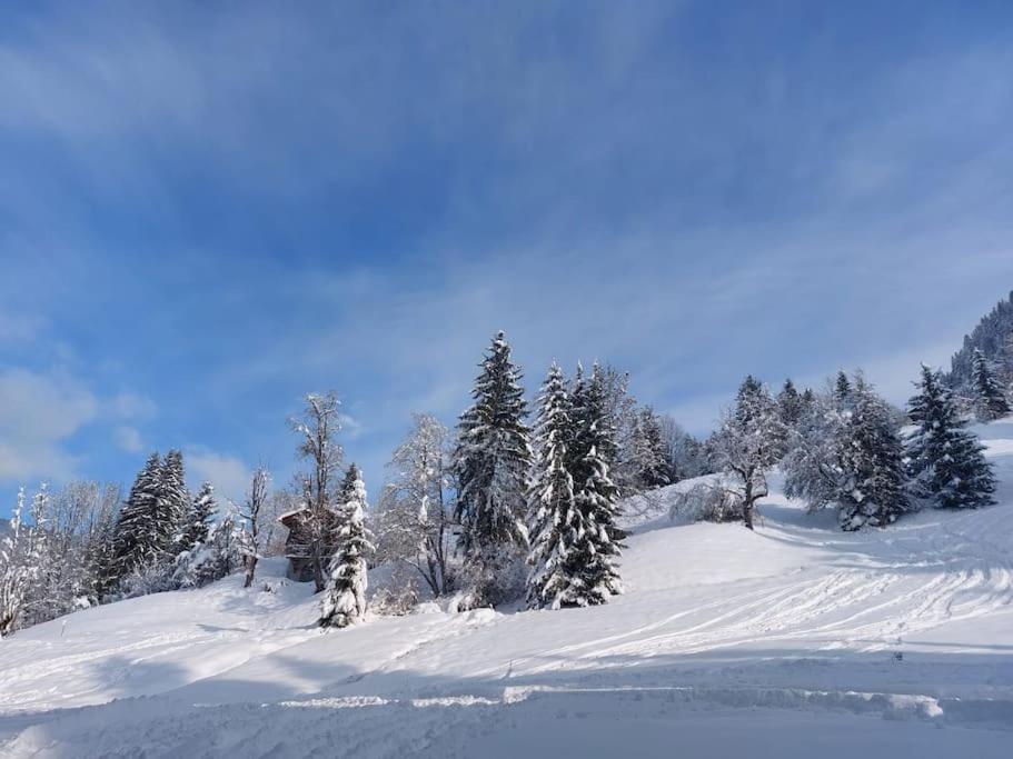 Appartamento Di Charme Praz-sur-Arly Εξωτερικό φωτογραφία