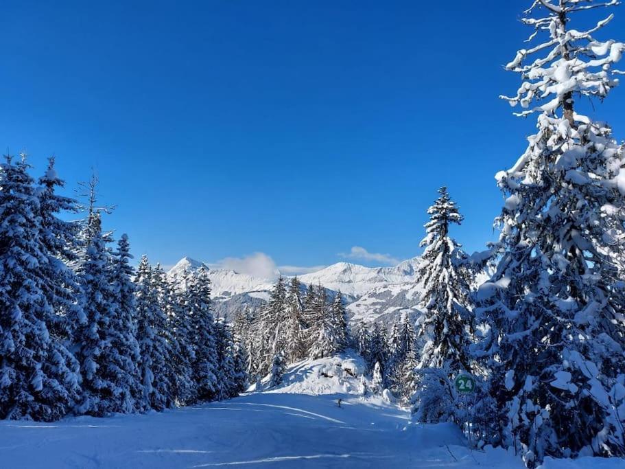 Appartamento Di Charme Praz-sur-Arly Εξωτερικό φωτογραφία